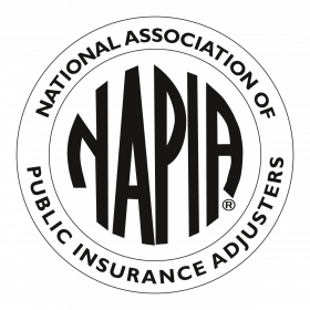 NAPIA LOGO new Black